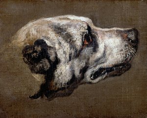 Cabeça de um cão de caça